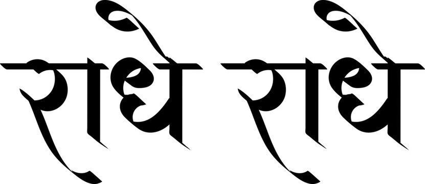 प्रयागराज में सनातन धर्म संसद का सफल आयोजन